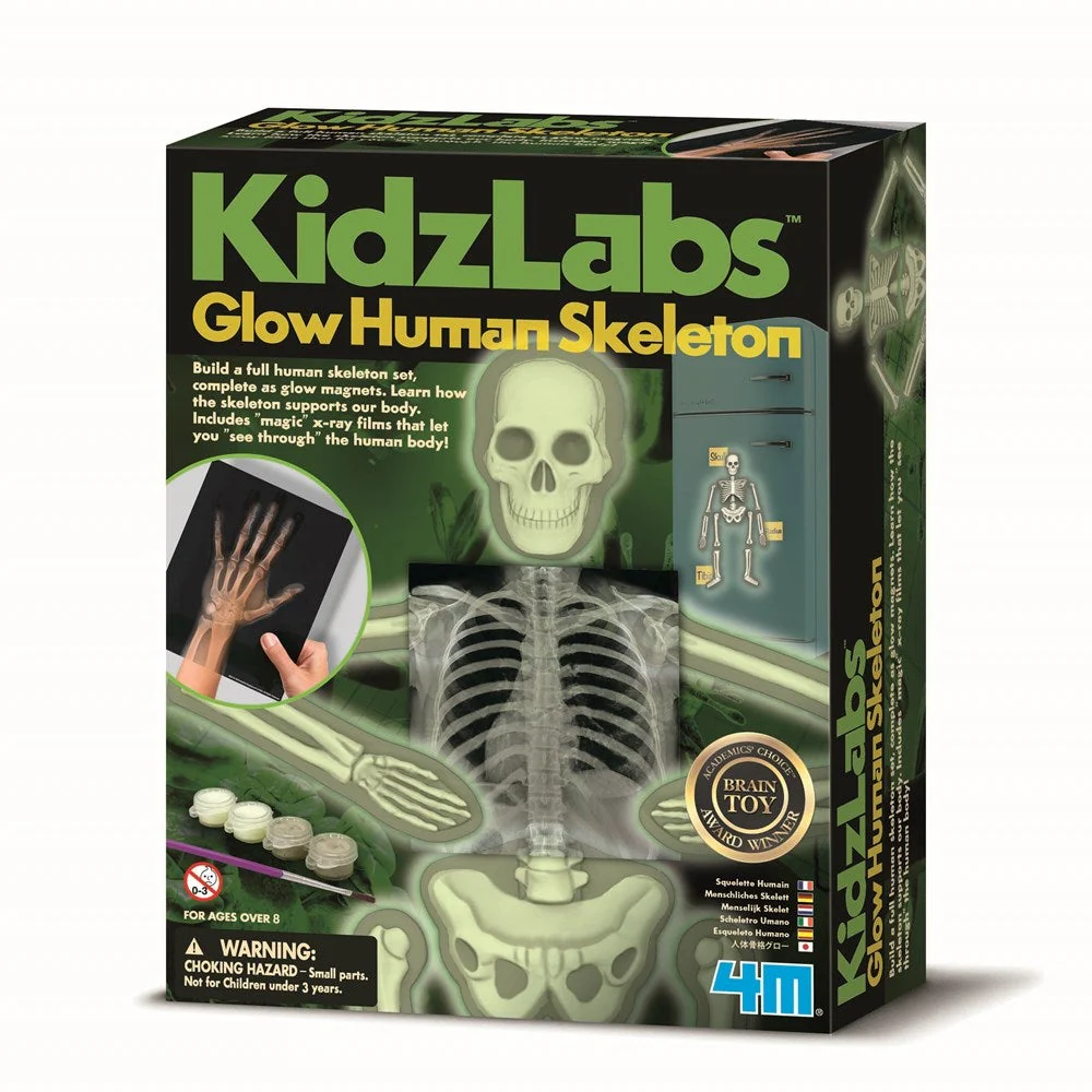 4M KIDZLABS - HUMAN SKELETON