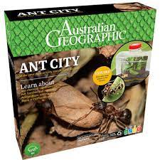 AUSTRALIAN GEOGRAPHIC - ANT CITY