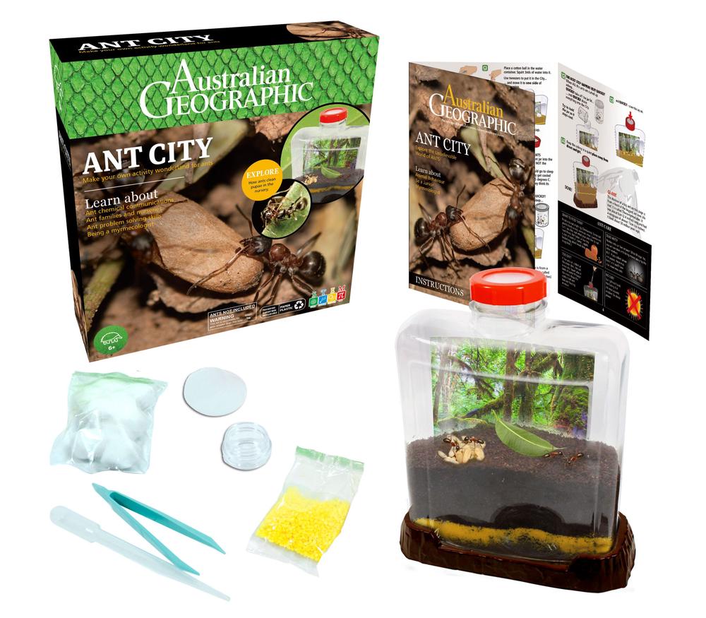 AUSTRALIAN GEOGRAPHIC - ANT CITY - Image 2