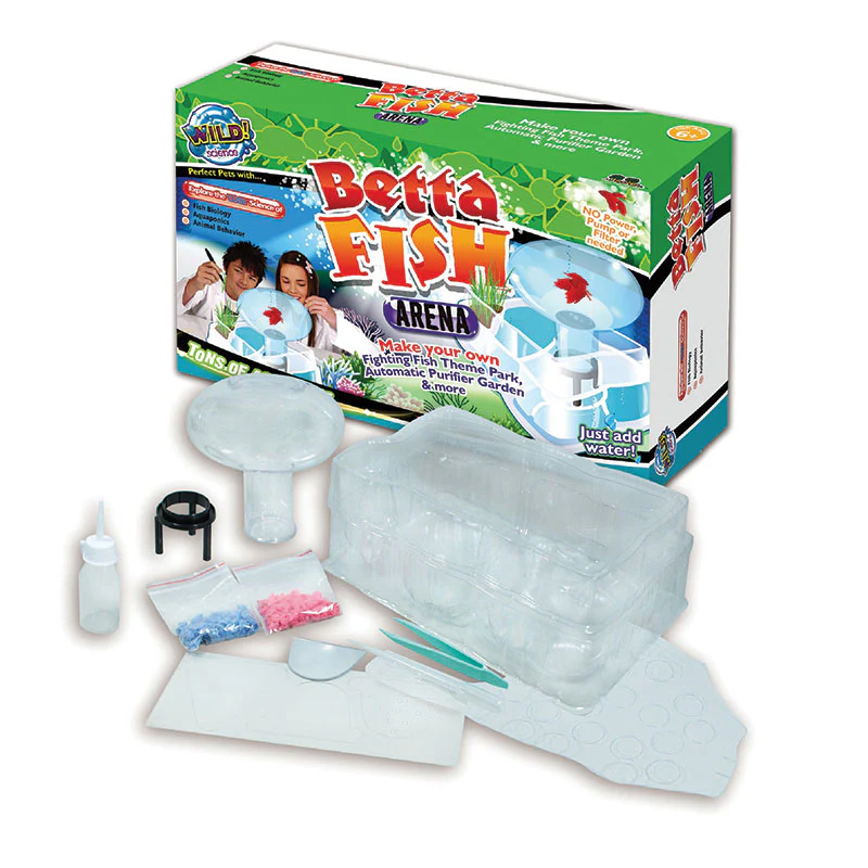 BETTA FISH ARENA