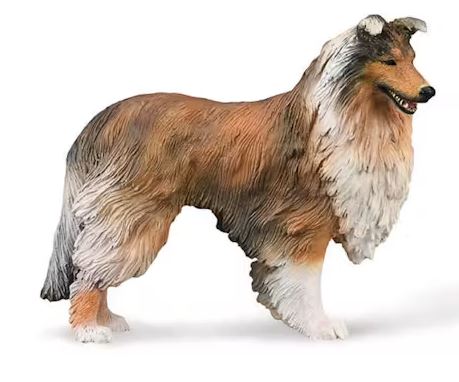 COLLECTA - ROUGH COLLIE