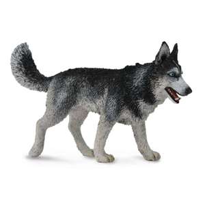 COLLECTA - SIBERIAN HUSKY
