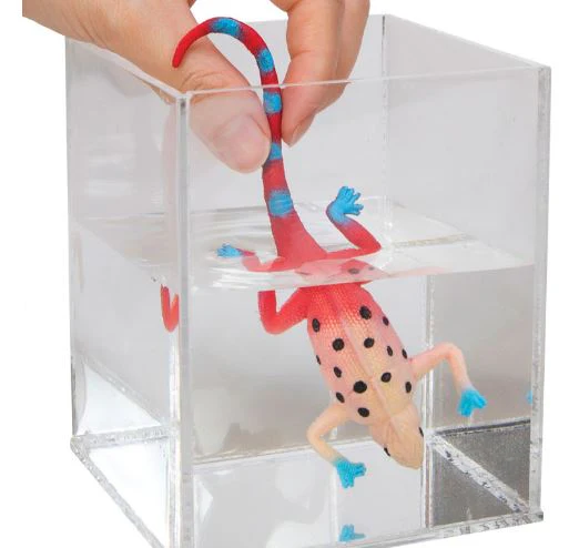 SCHYLLING - COLOUR CHANGING REVEALEONS - Image 3