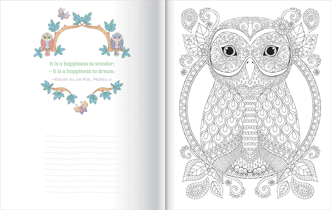 COLOURING COLLECTION - OWLS - Image 2
