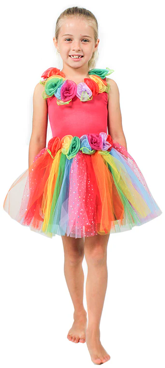 ENCHANTING FAIRY DRESS RAINBOW - SMALL