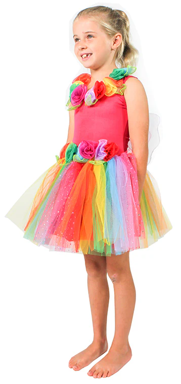 ENCHANTING FAIRY DRESS RAINBOW - SMALL - Image 3