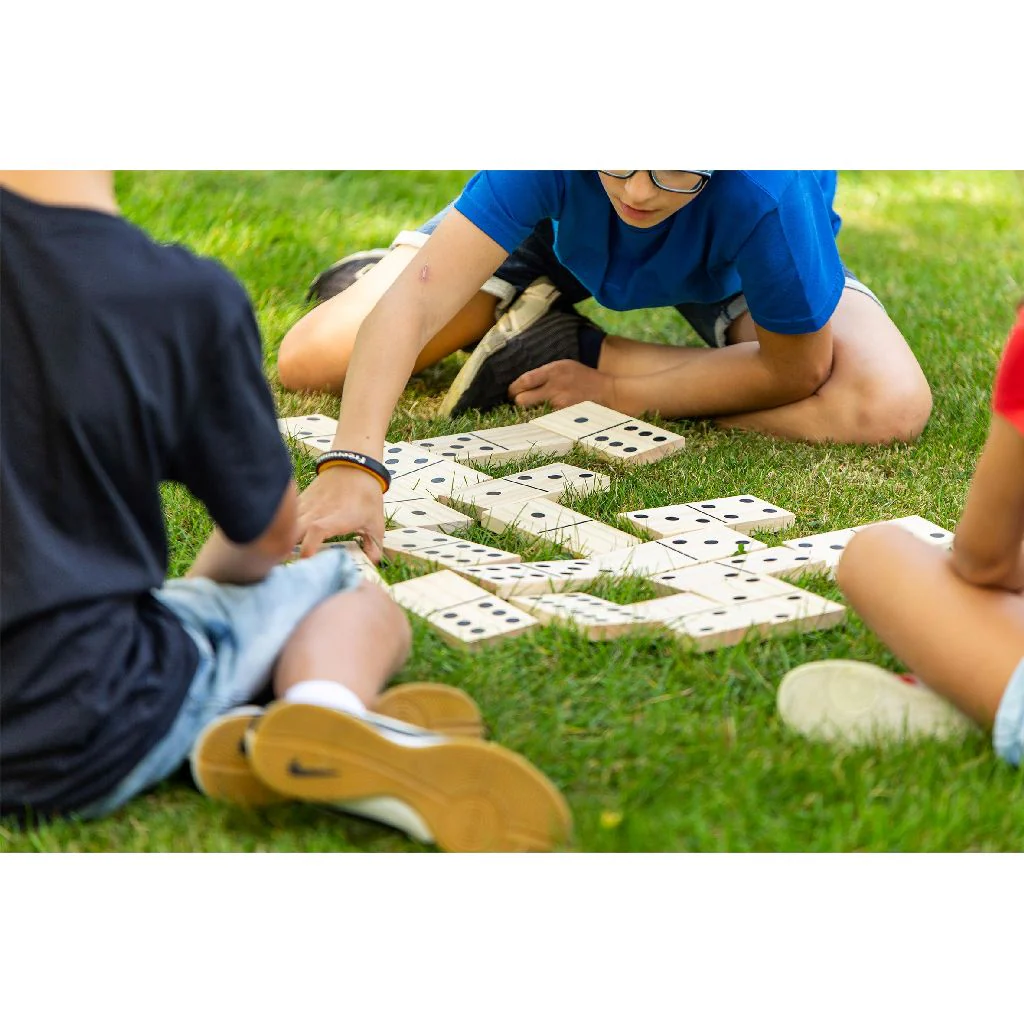 FORMULA SPORTS - WOODEN DOMINOES - Image 4
