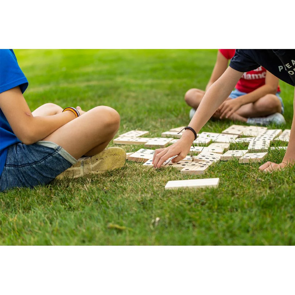 FORMULA SPORTS - WOODEN DOMINOES - Image 5