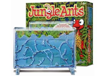 JUNGLE ANTS