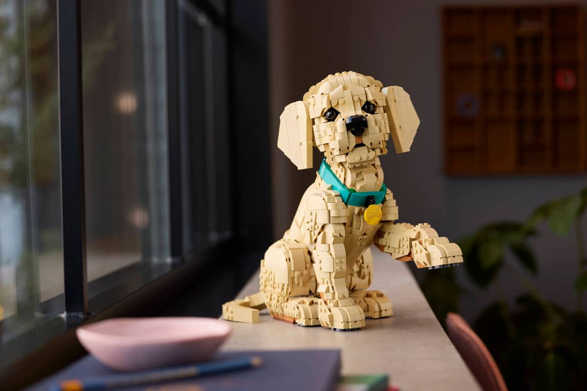 LEGO 11384 ICONS - GOLDEN RETRIEVER PUPPY - Image 6