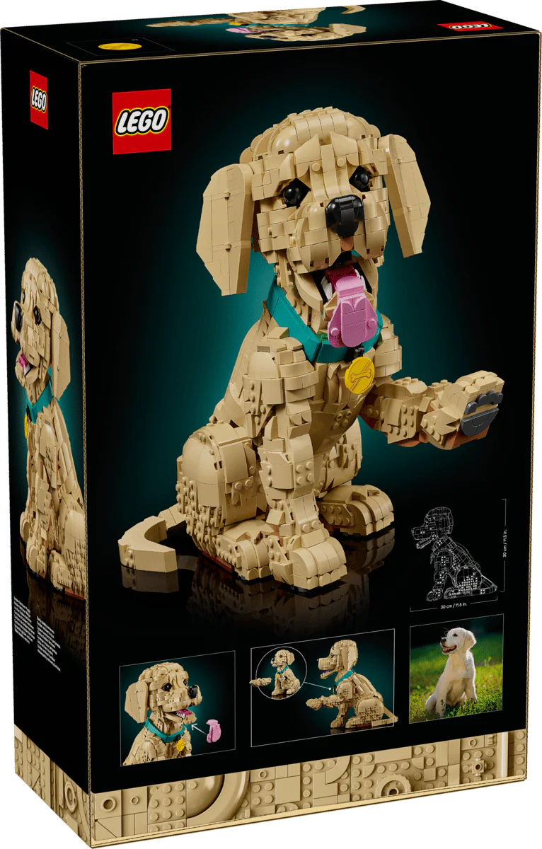 LEGO 11384 ICONS - GOLDEN RETRIEVER PUPPY - Image 9