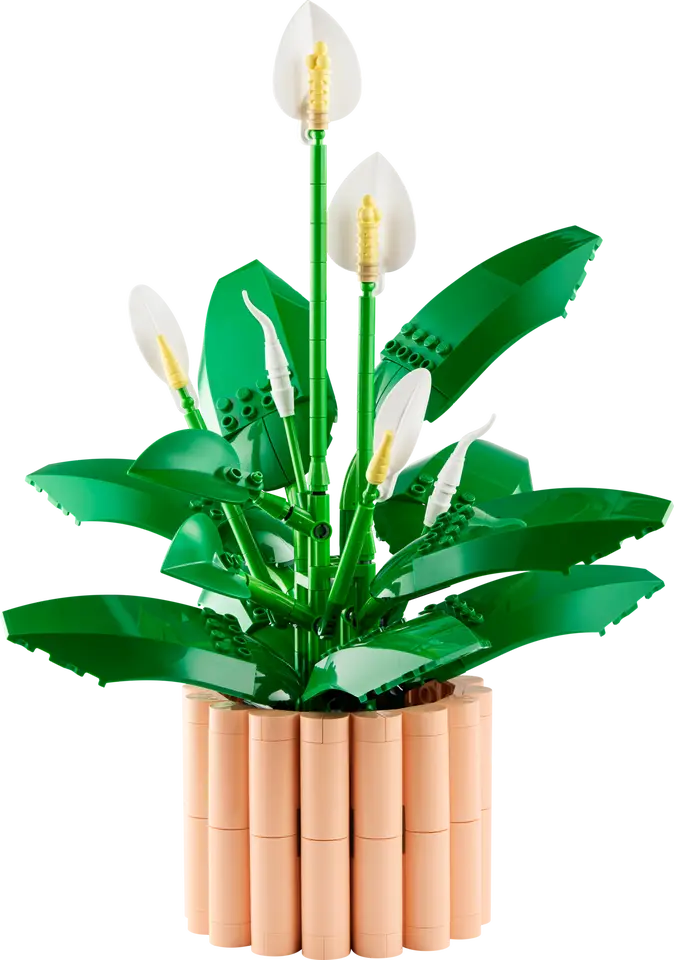 LEGO 11504 THE BOTANICAL COLLECTION - PEACE LILY - Image 2