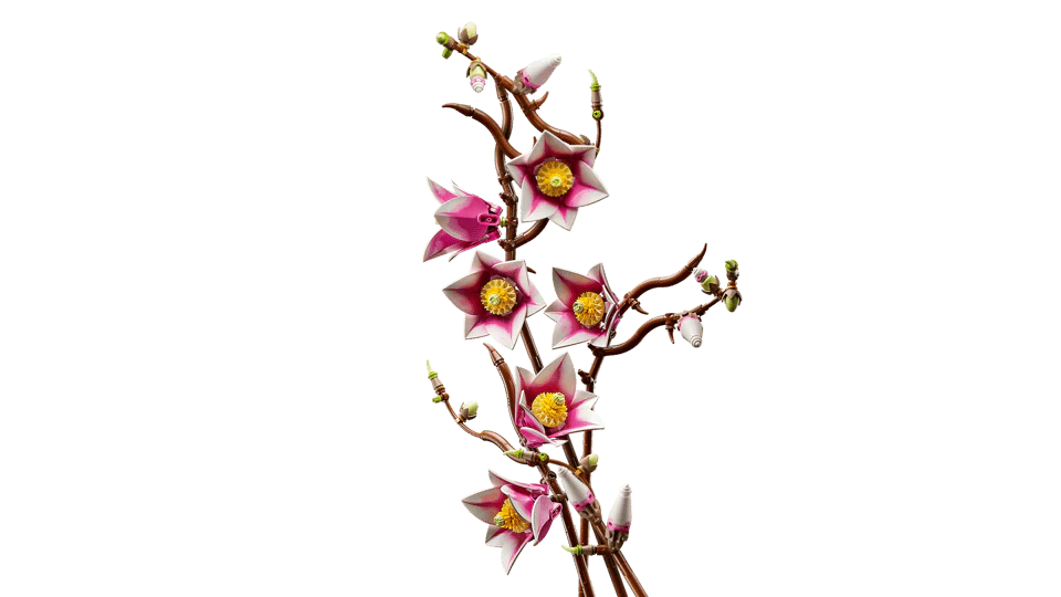 LEGO 11510 BOTANICALS - MAGNOLIA BRANCHES - Image 4
