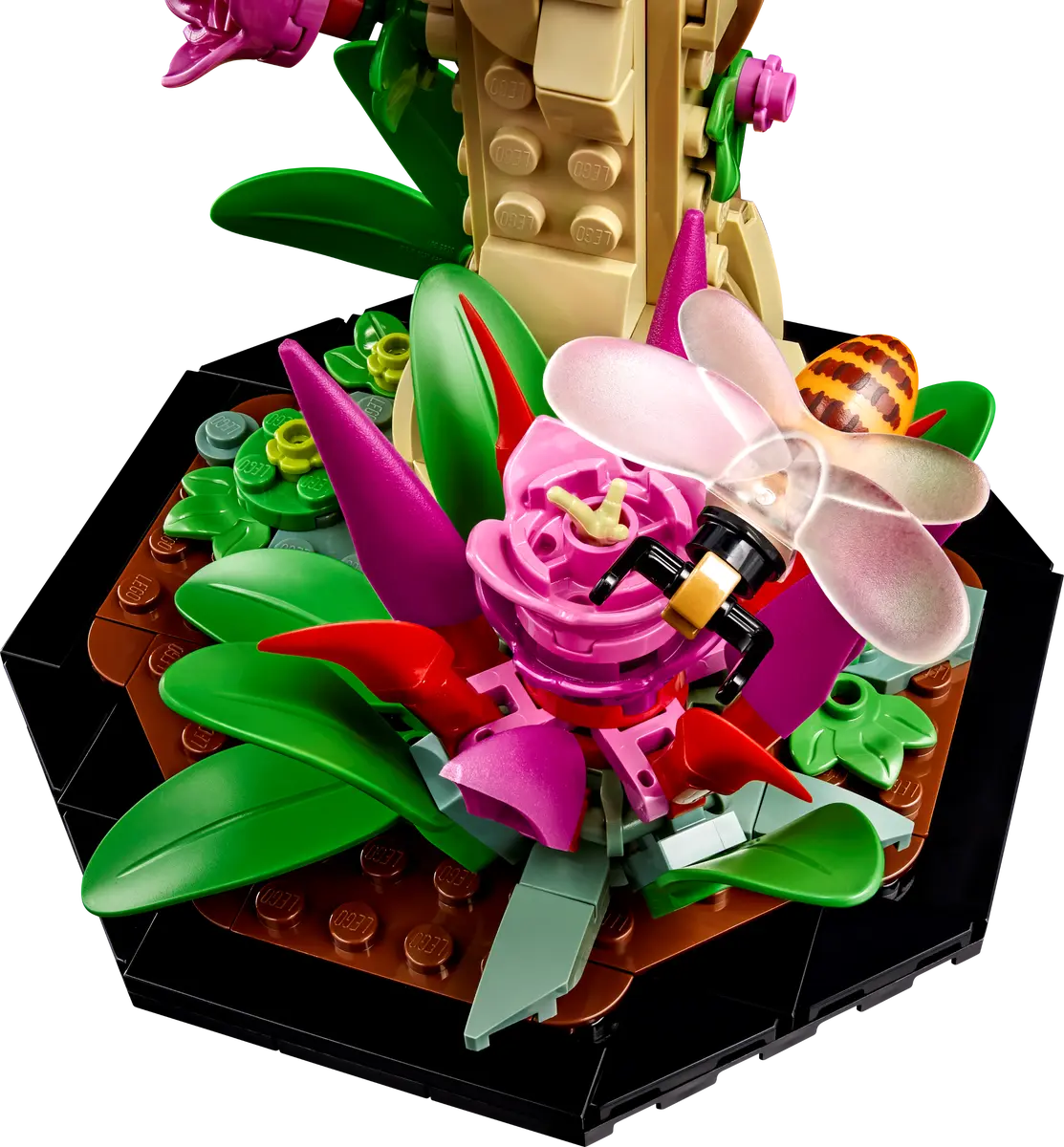 LEGO 21342 ICONS THE INSECT COLLECTION - Image 6