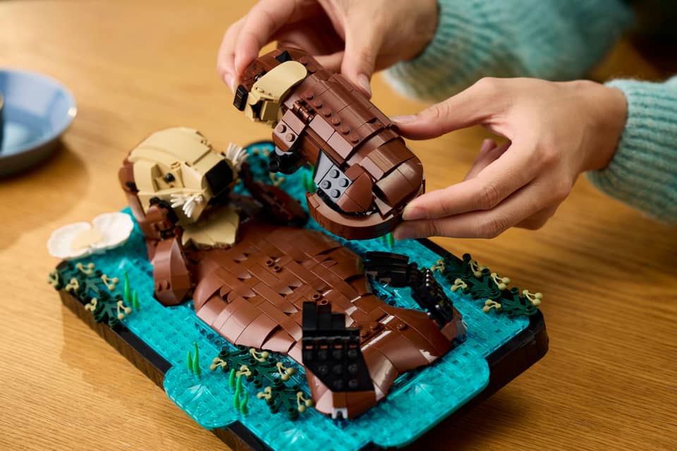 LEGO 21366 IDEAS - FLOATING SEA OTTERS - Image 9