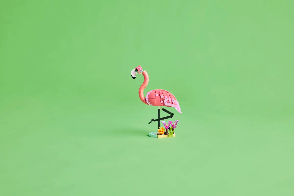LEGO 31170 CREATOR 3 IN 1 - WILD ANIMALS: PINK FLAMINGO - Image 8