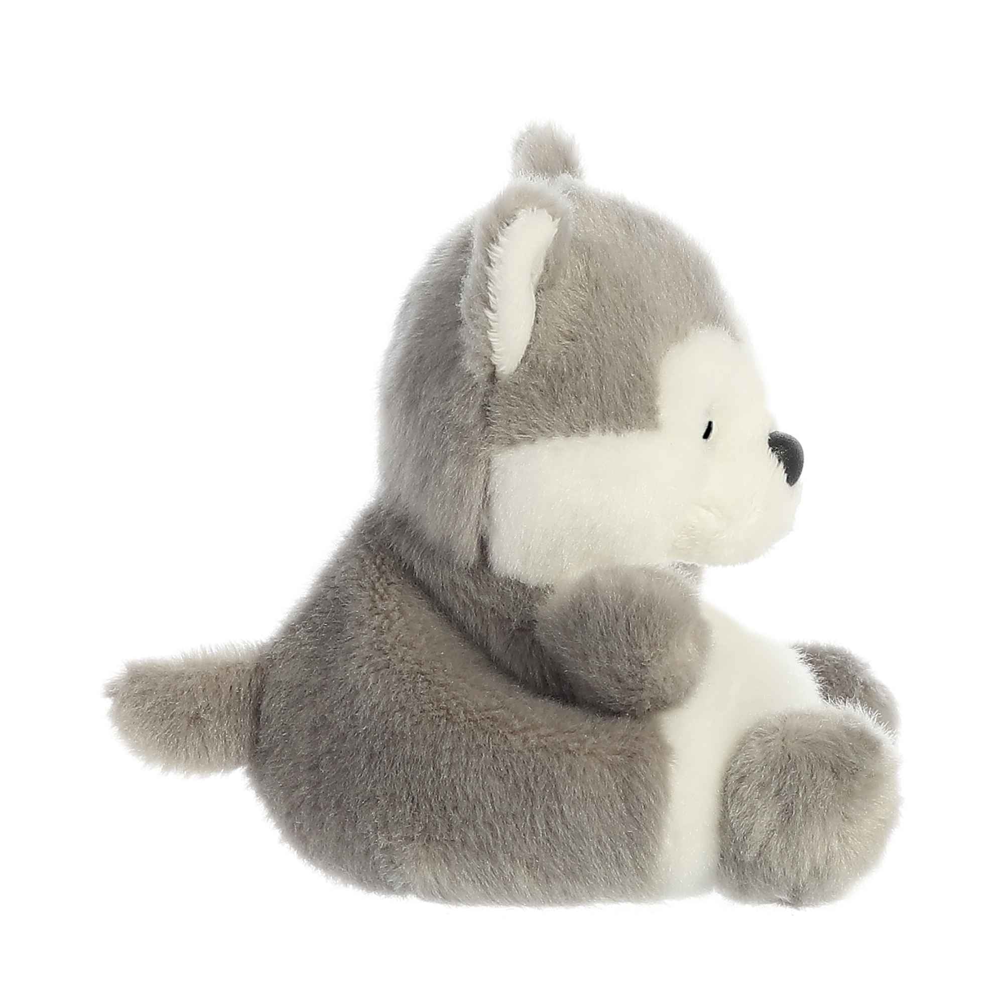 PALM PALS - BUSKY HUSKY 5" PLUSH - Image 3