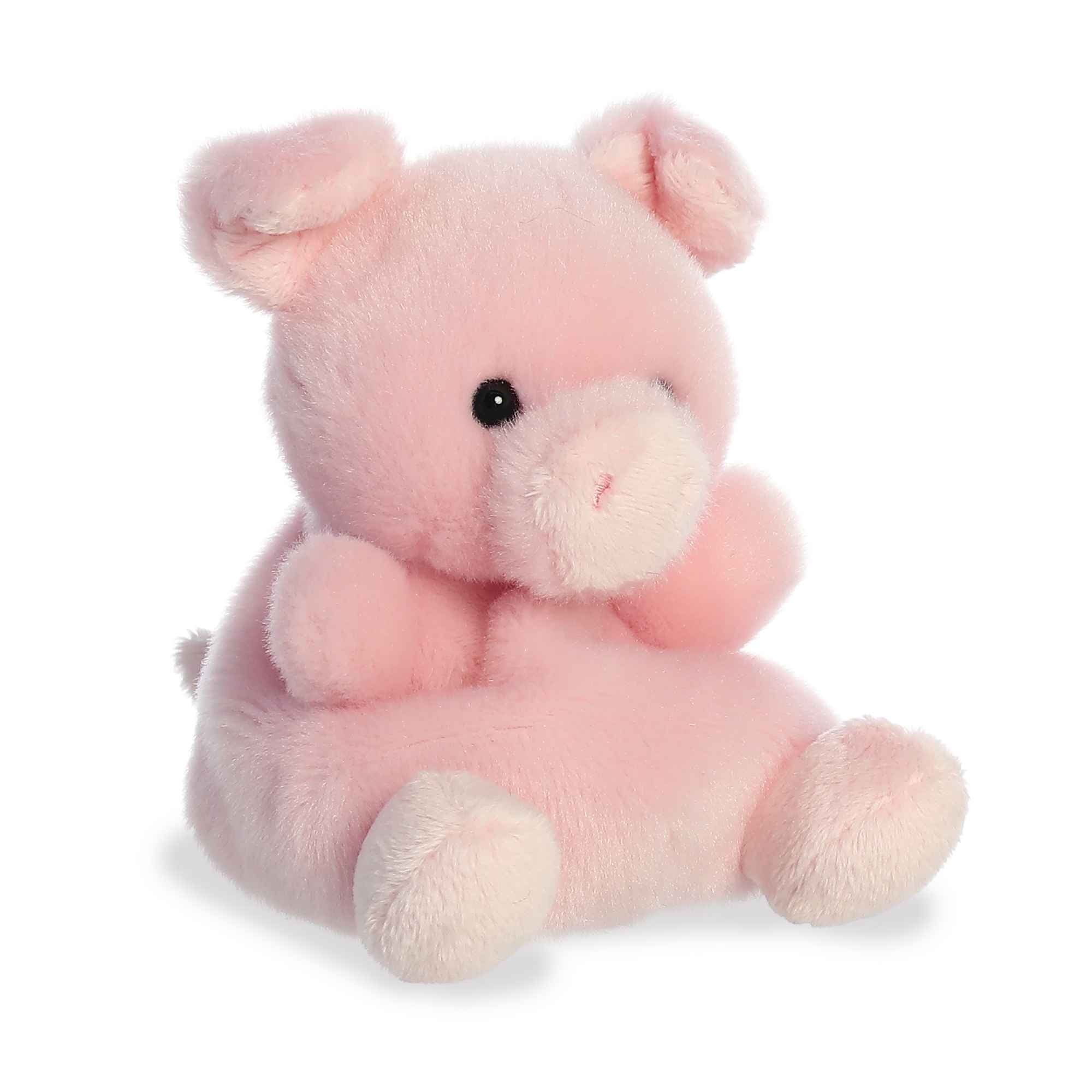 PALM PALS - WIZARD PIG 5" PLUSH - Image 2
