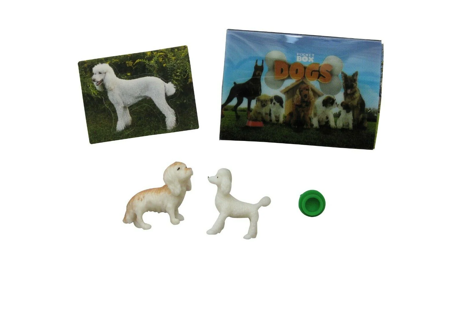 POCKET BOX DOG - Image 3
