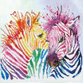 RAINBOW ZEBRAS - Image 2