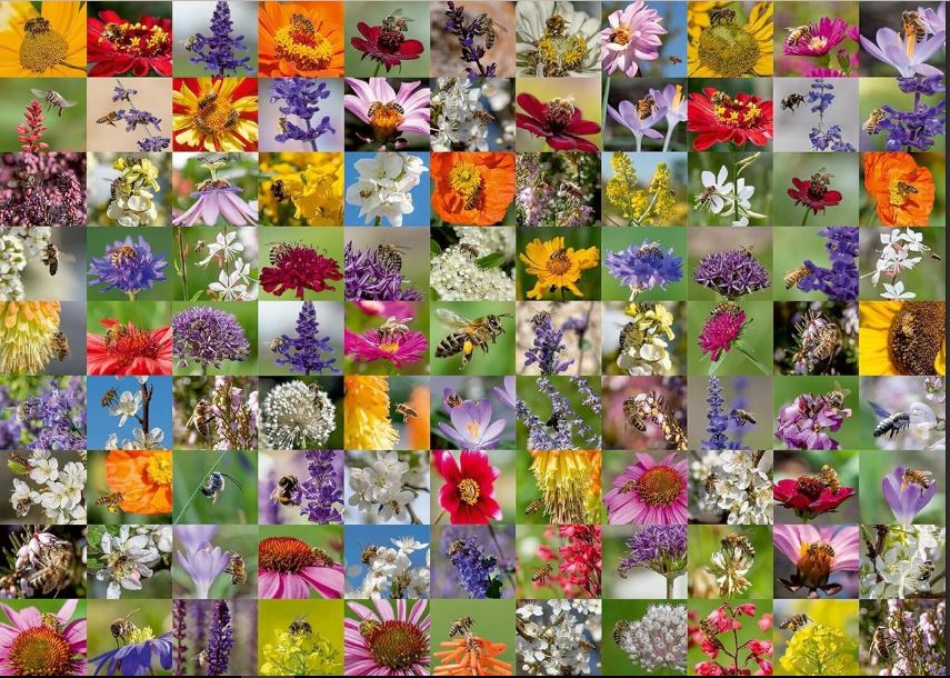 RAVENSBURGER 173860 99 BEES 1000 PIECE PUZZLE - Image 2