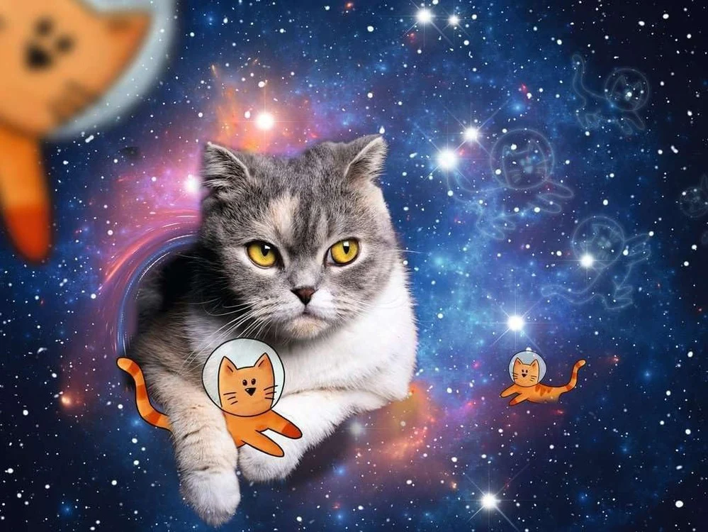 RAVENSBURGER 17439 3 CATS IN OUTER SPACE1500 PIECE PUZZLE - Image 2