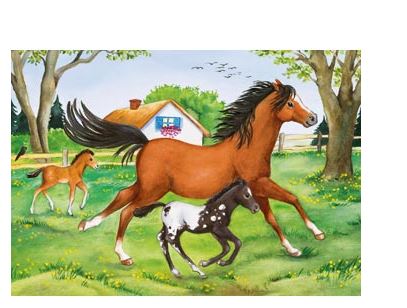 RAVNSBURGER 088829 - WORLD OF HORSES 2X24 PIECE PUZZLE - Image 2