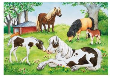 RAVNSBURGER 088829 - WORLD OF HORSES 2X24 PIECE PUZZLE - Image 3