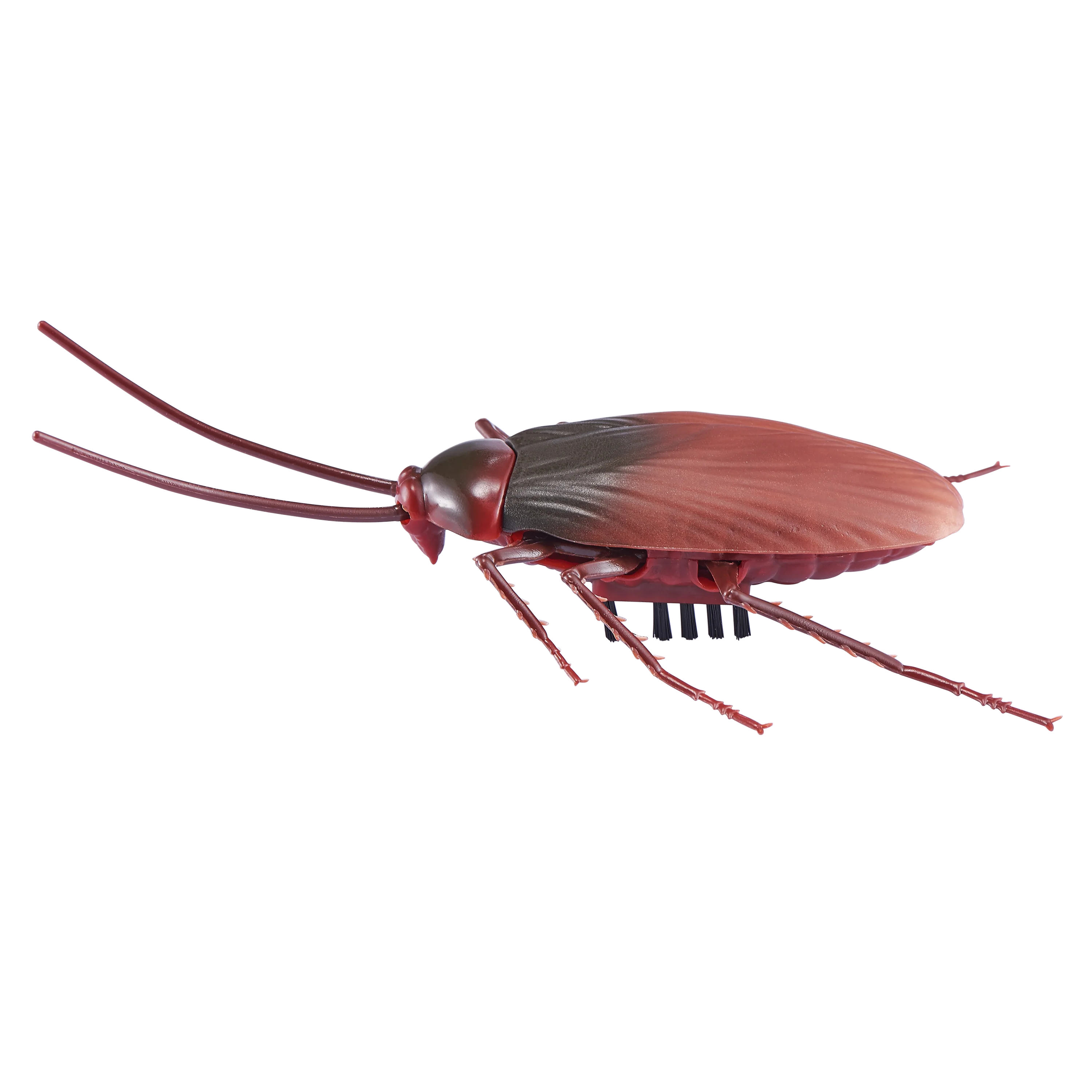 ROBO ALIVE ROBOTIC COCKROACH - Image 2