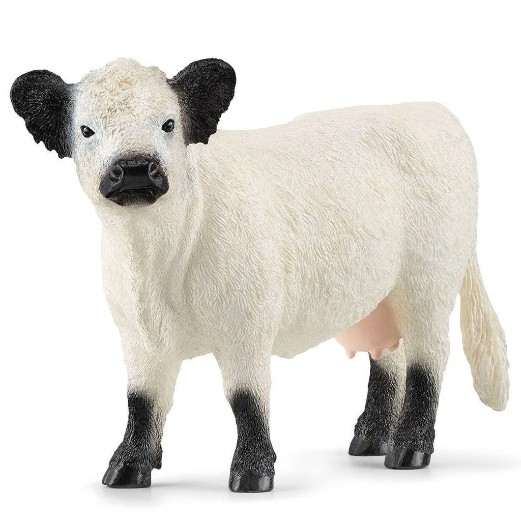 SCHLEICH - GALLOWAY COW