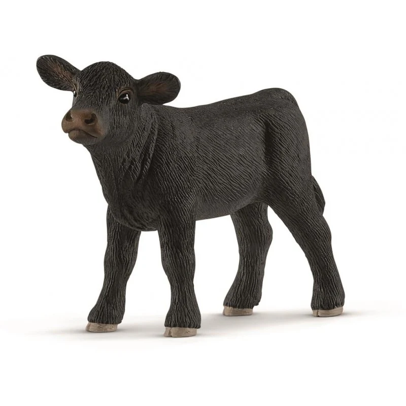 SCHLIECH BLACK ANGUS CALF