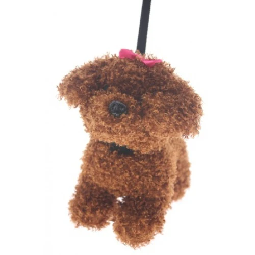 WALKER LABRADOODLE FANCY