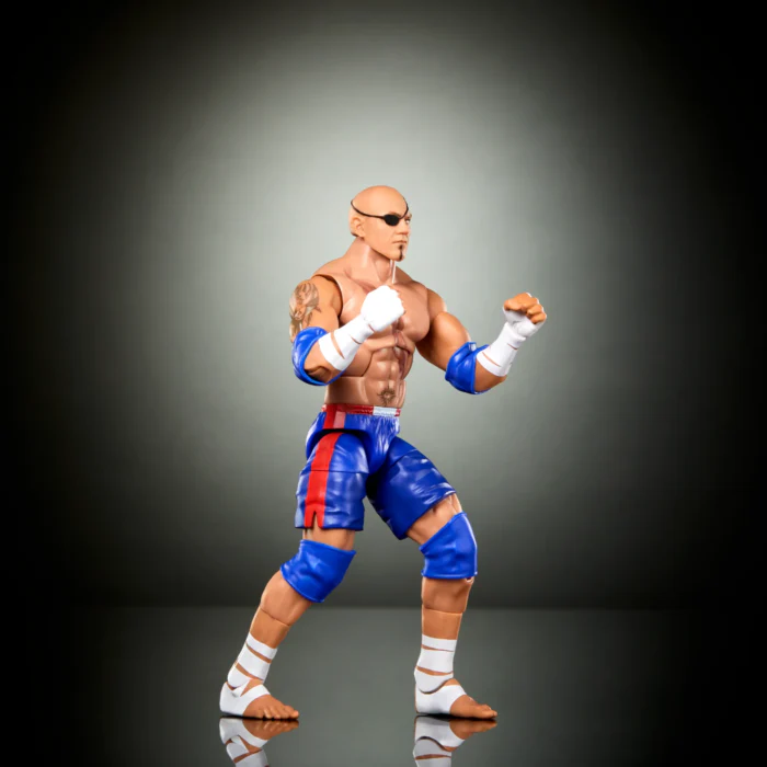 WWE X STREET FIGHTER ELITE COLLECTION - BATISTA AS SAGAT - Image 5